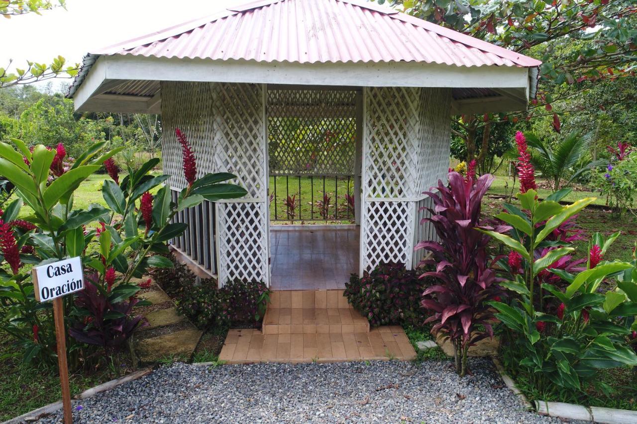 Hope Garden, Sarapiqui, We Connect You With The Sarapiqui Tropical Forest Exterior foto