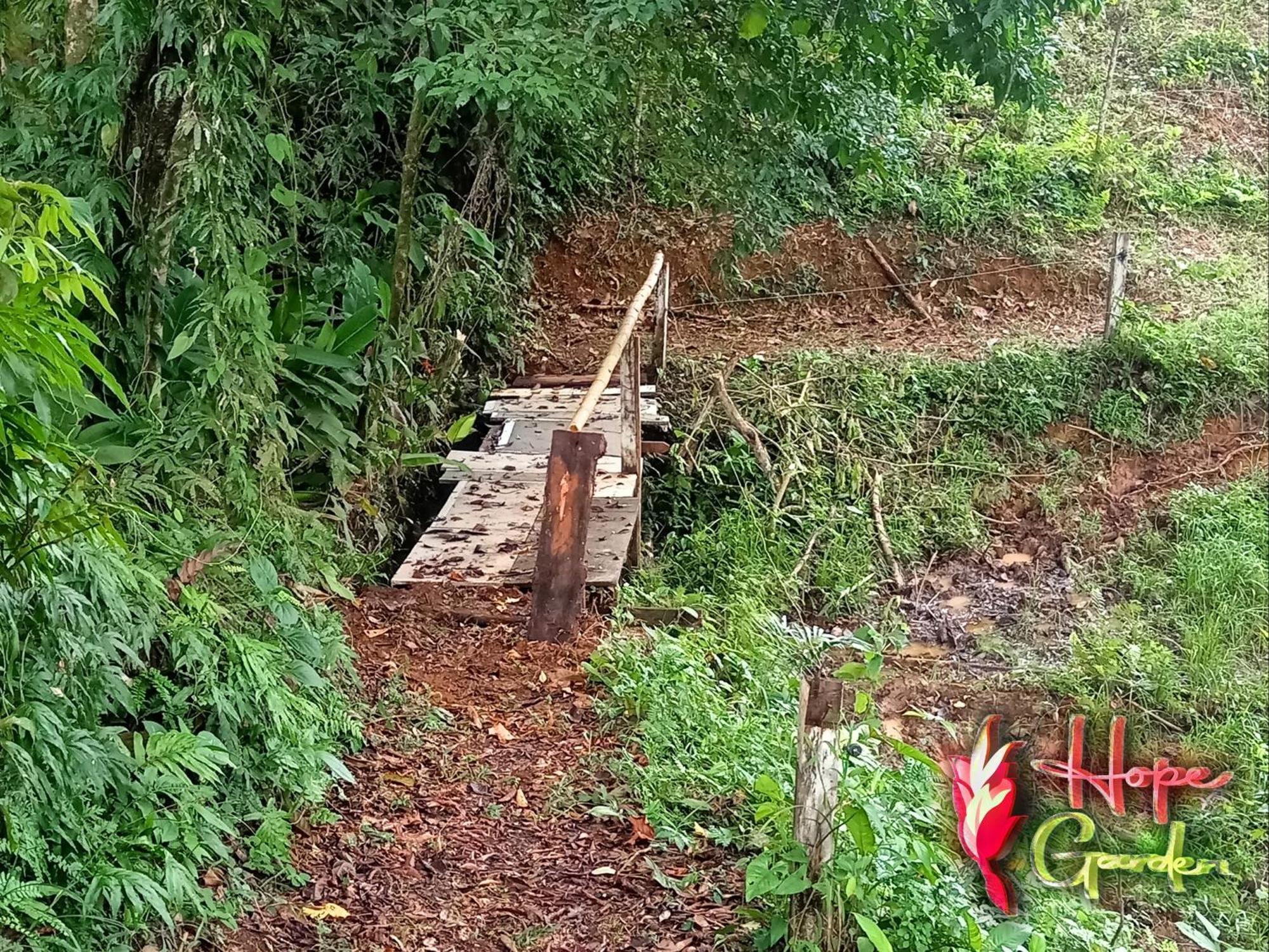 Hope Garden, Sarapiqui, We Connect You With The Sarapiqui Tropical Forest Exterior foto